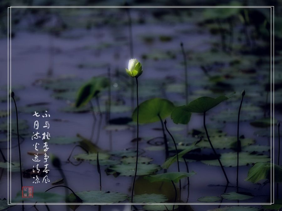 PS-ɫ