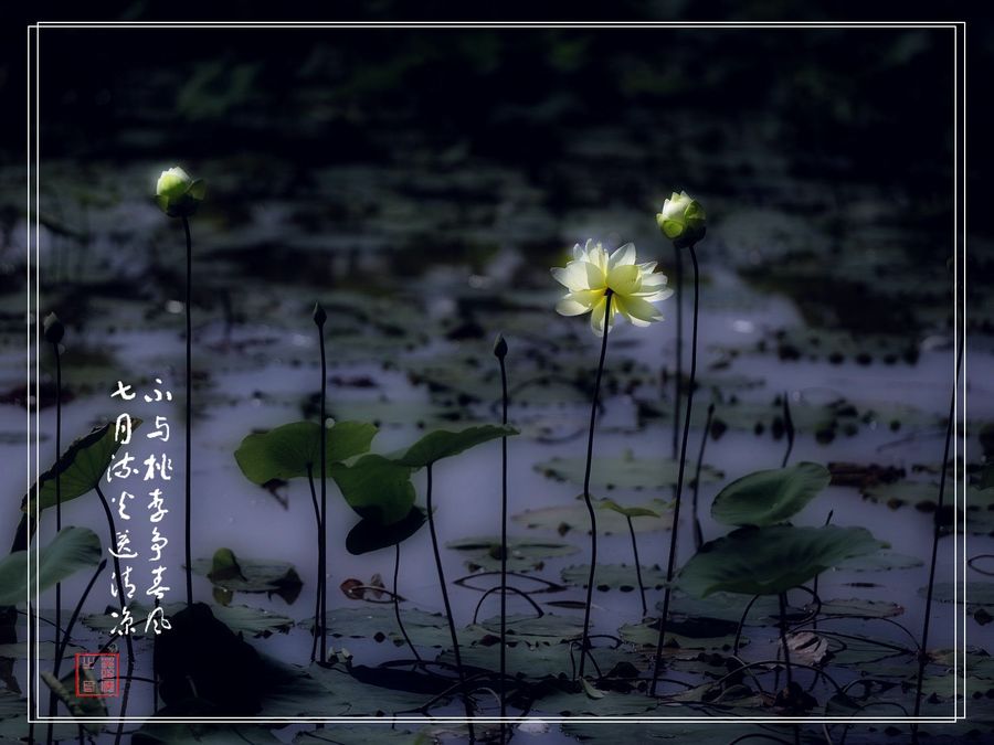 PS-ɫ
