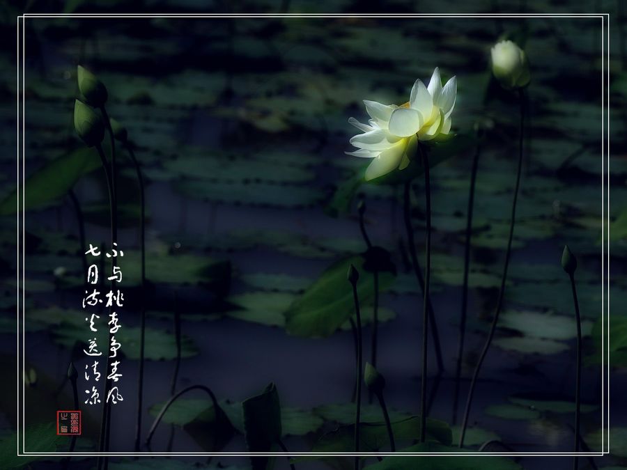 PS-ɫ