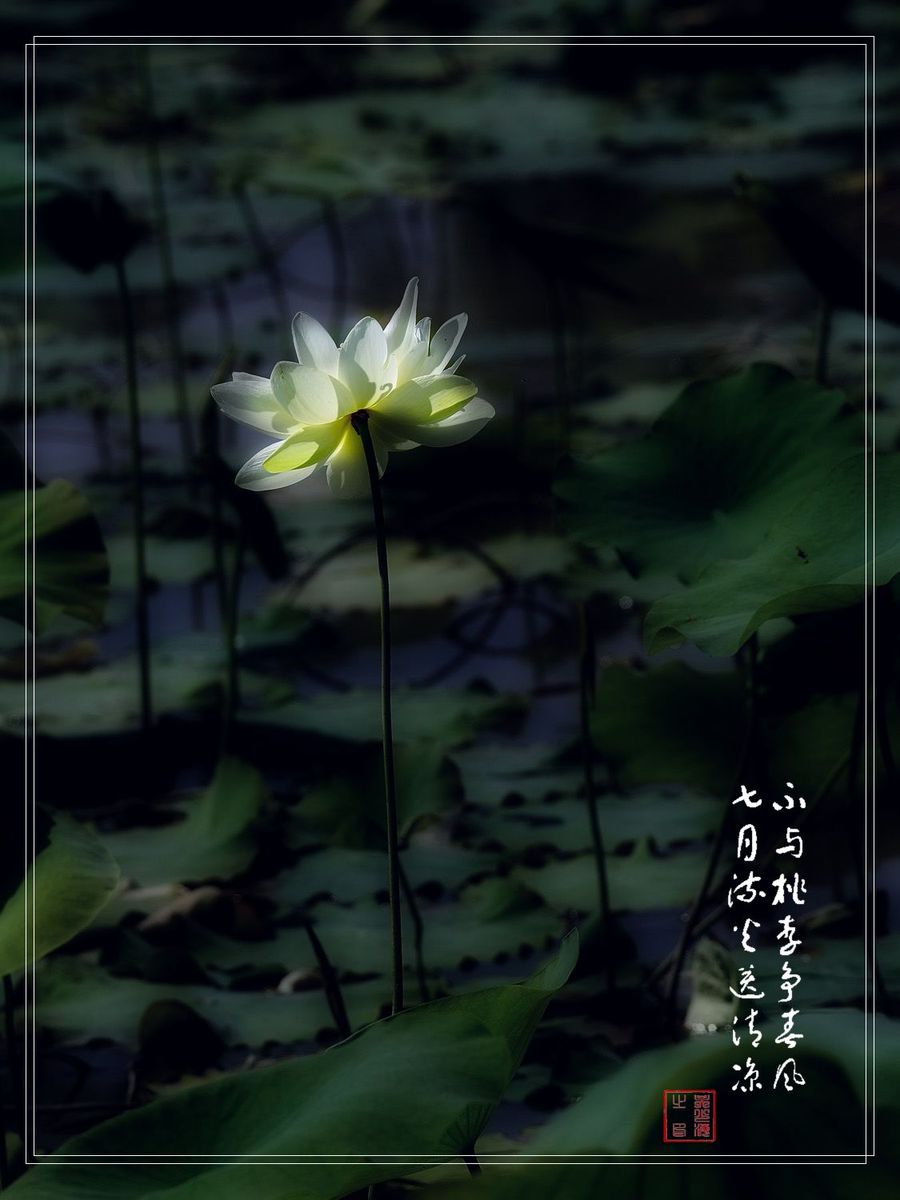 PS-ɫ