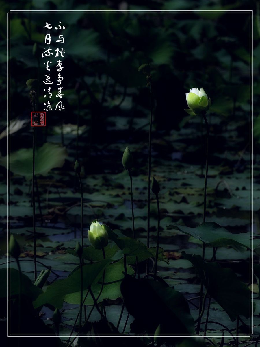 PS-ɫ