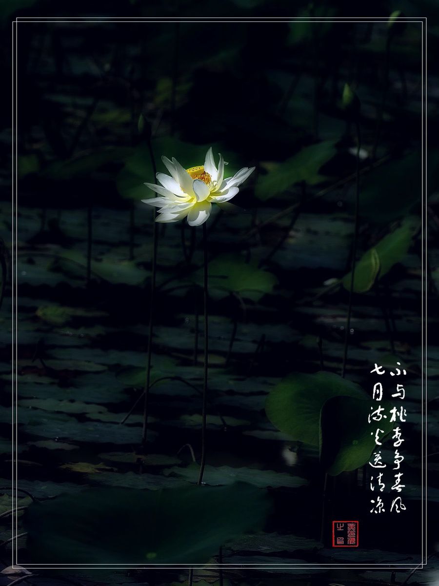 PS-ɫ
