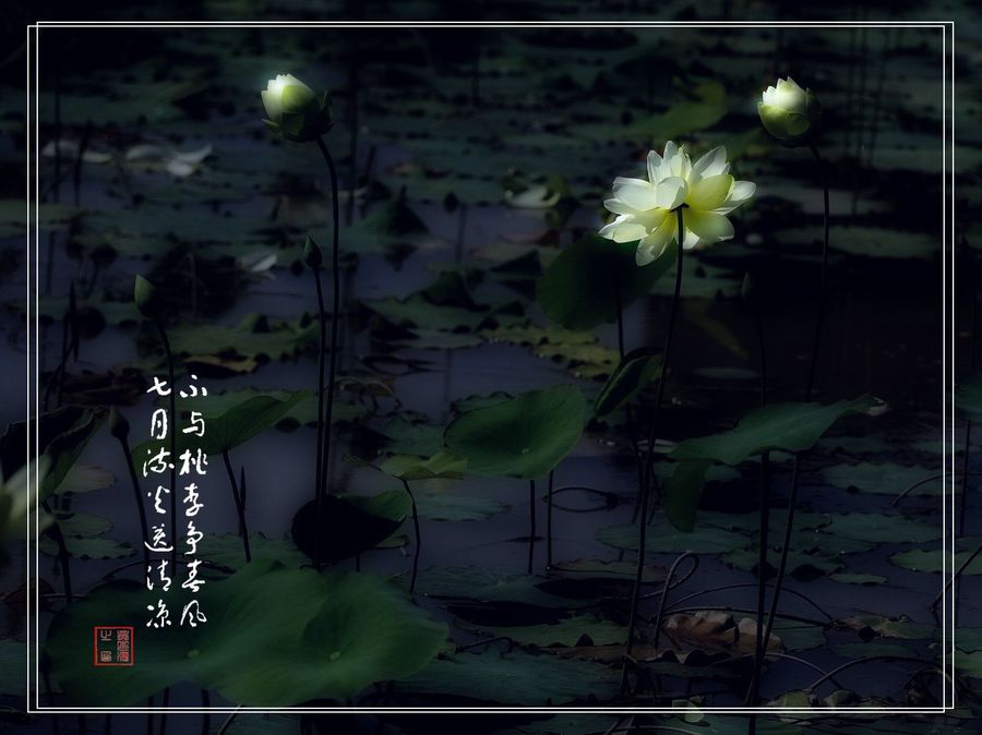 PS-ɫ