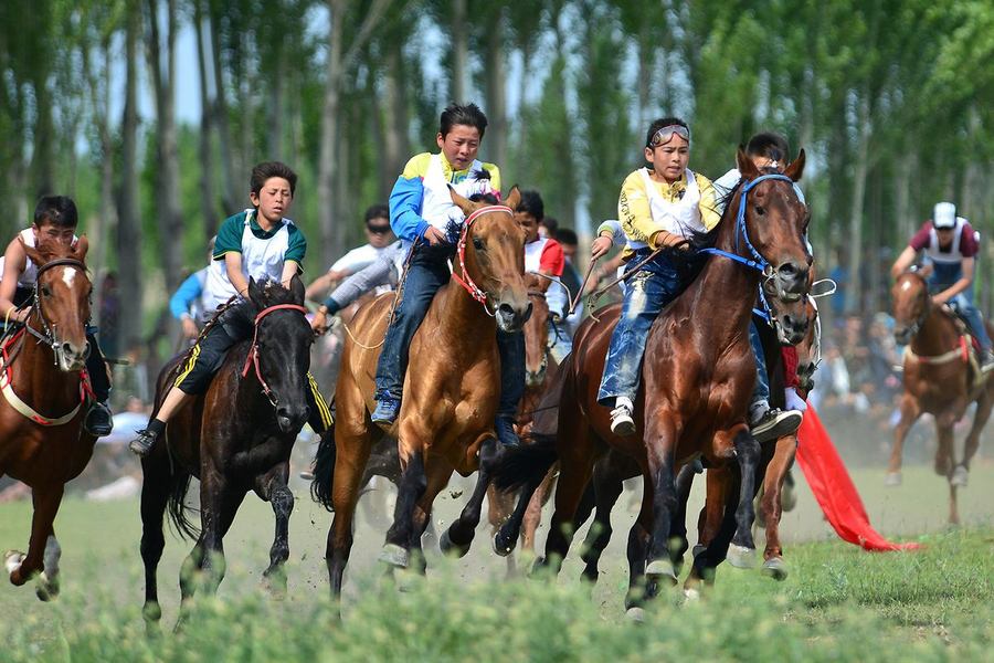新疆赛马图片大全高清图片