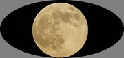 据说今天的月亮最大（适马50-500）