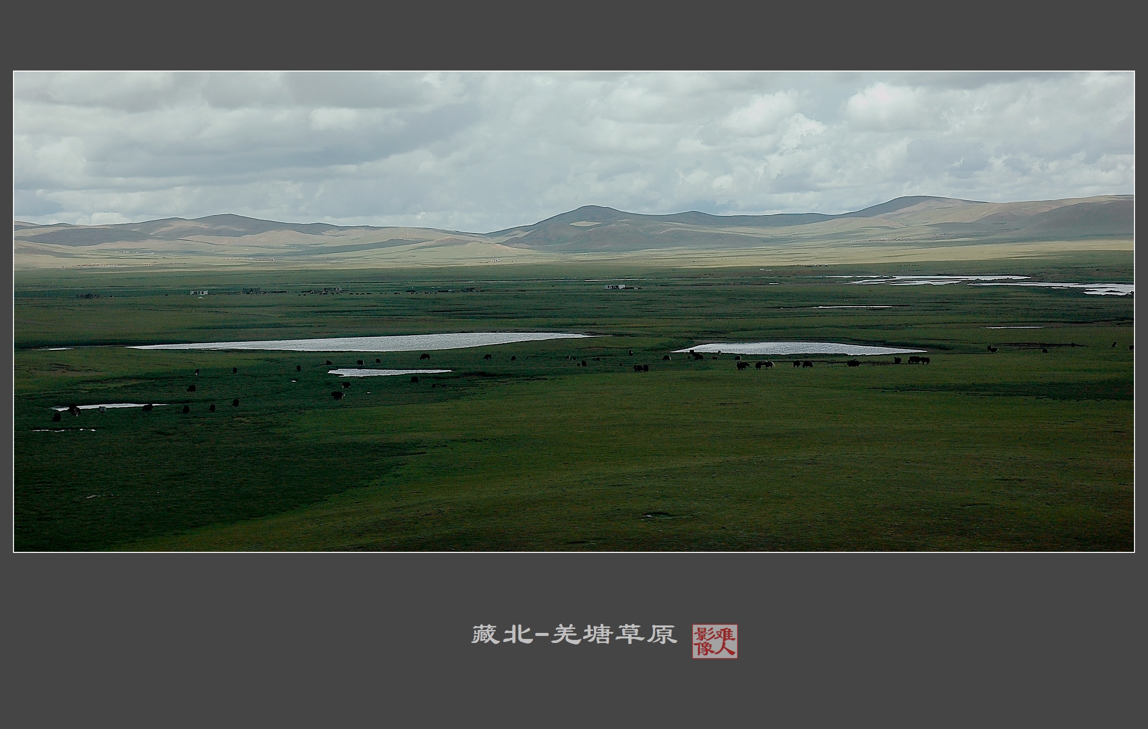藏北-羌塘草原(2)