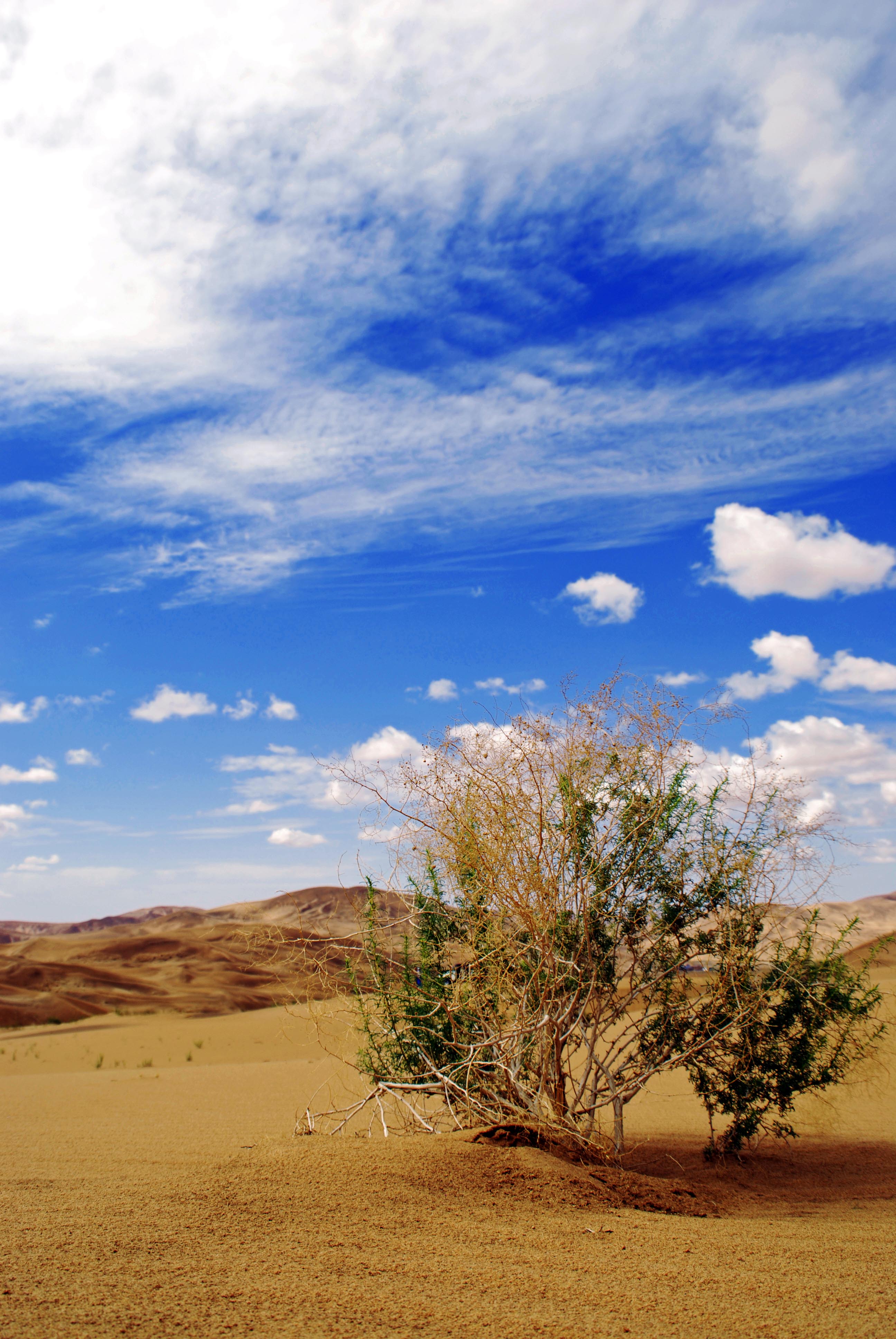 【丹巴吉林沙漠摄影图片】阿拉善右旗丹巴吉林沙漠风光摄影