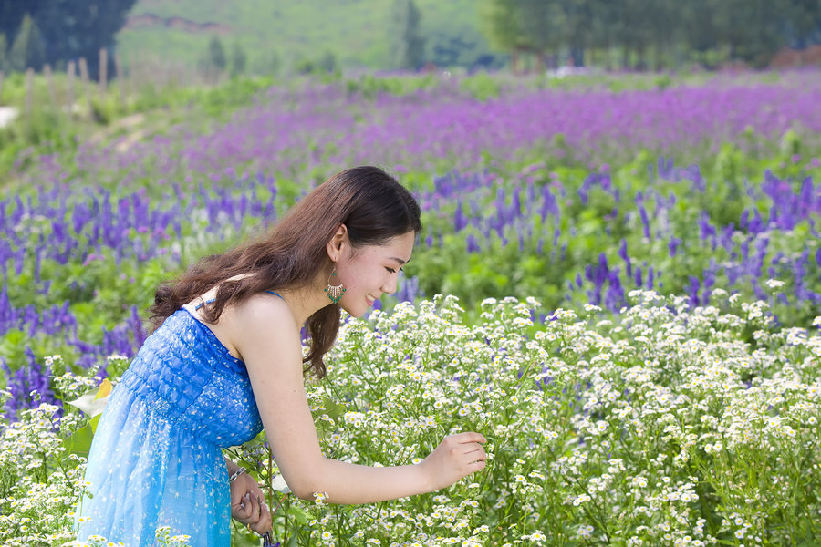 夏日*薰衣草(二)