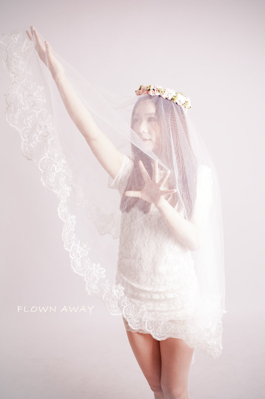 Flown Away