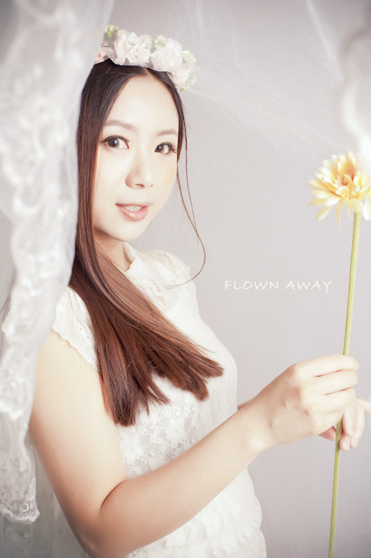 Flown Away