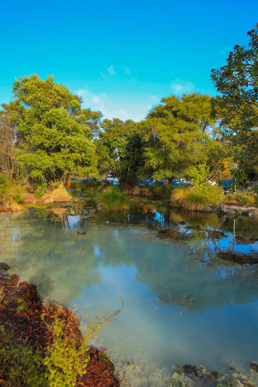 Rotorua԰