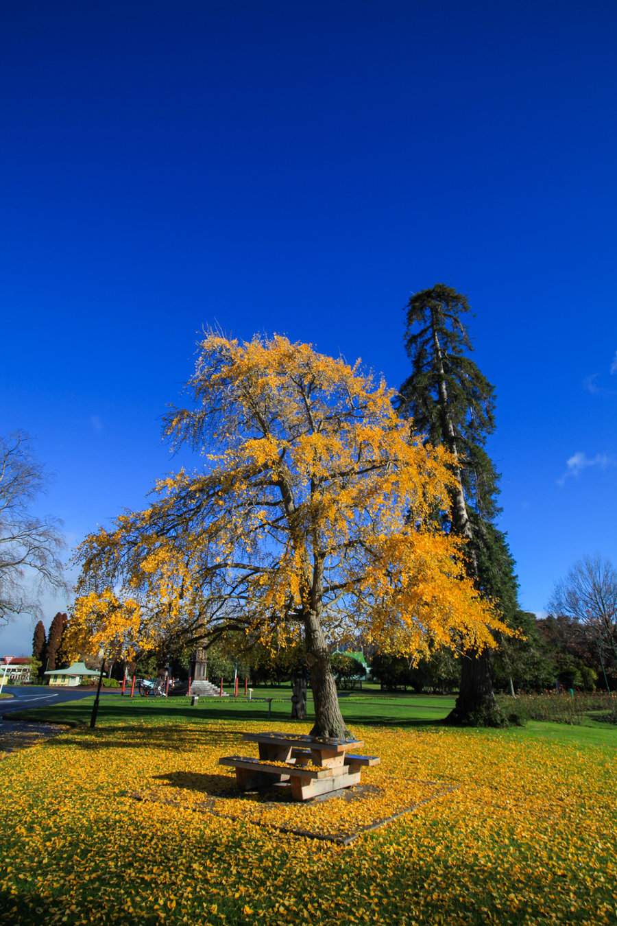 Rotorua԰