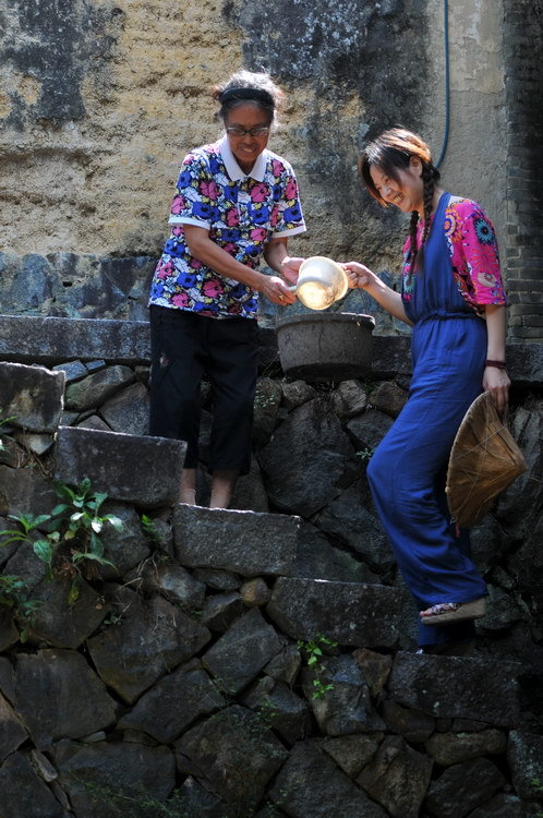 賽湖天鵝 走進