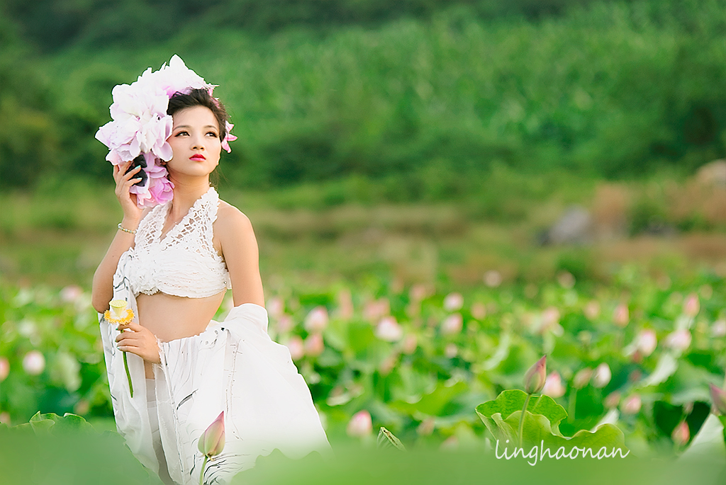 高淳荷花仙子配合口图片