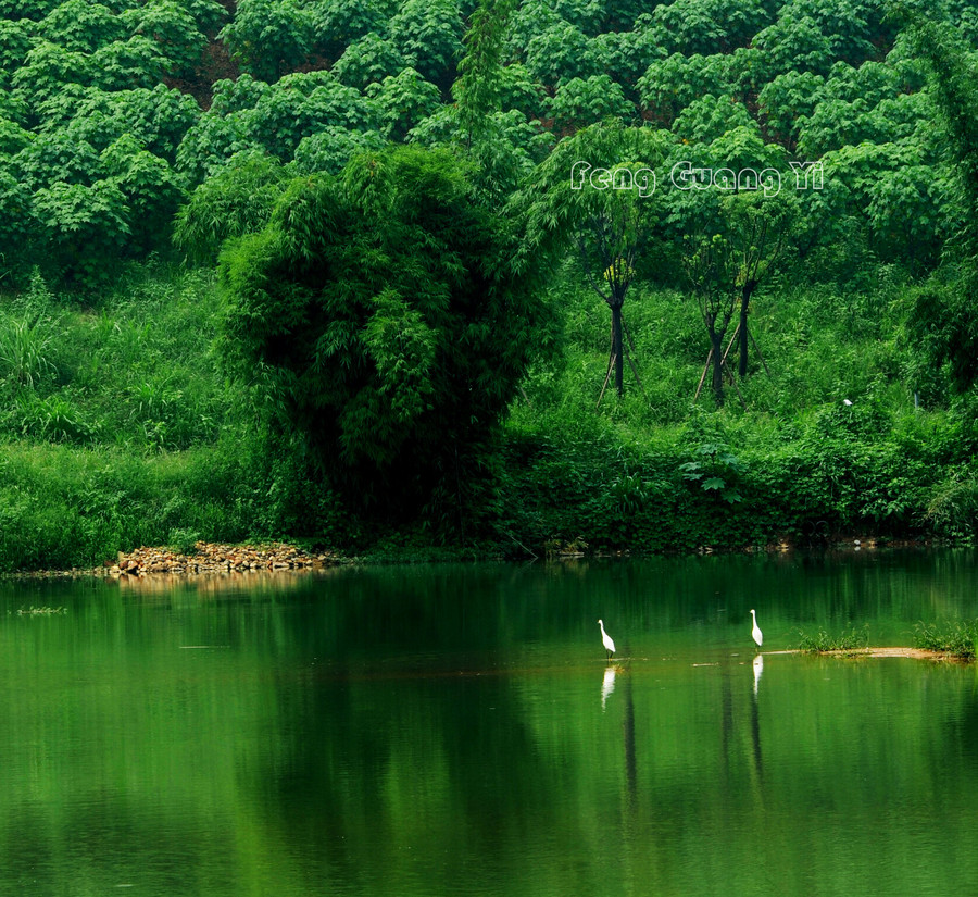 锦江白鹭湾湿地(成都)