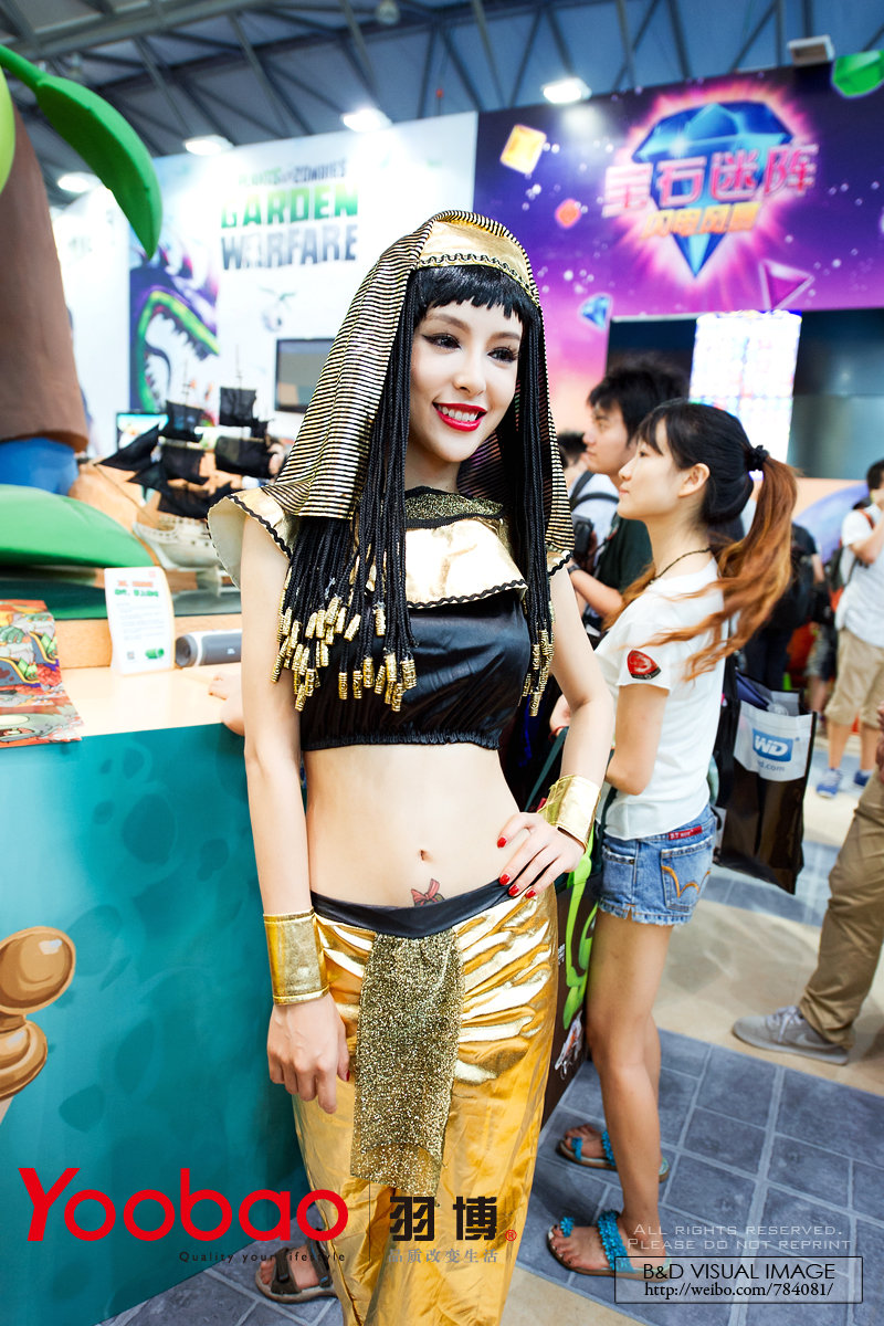 ChinaJoy2013 SG()