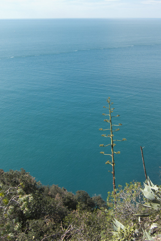 The blue of Mediterranean Sea