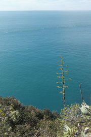 The blue of Mediterranean Sea