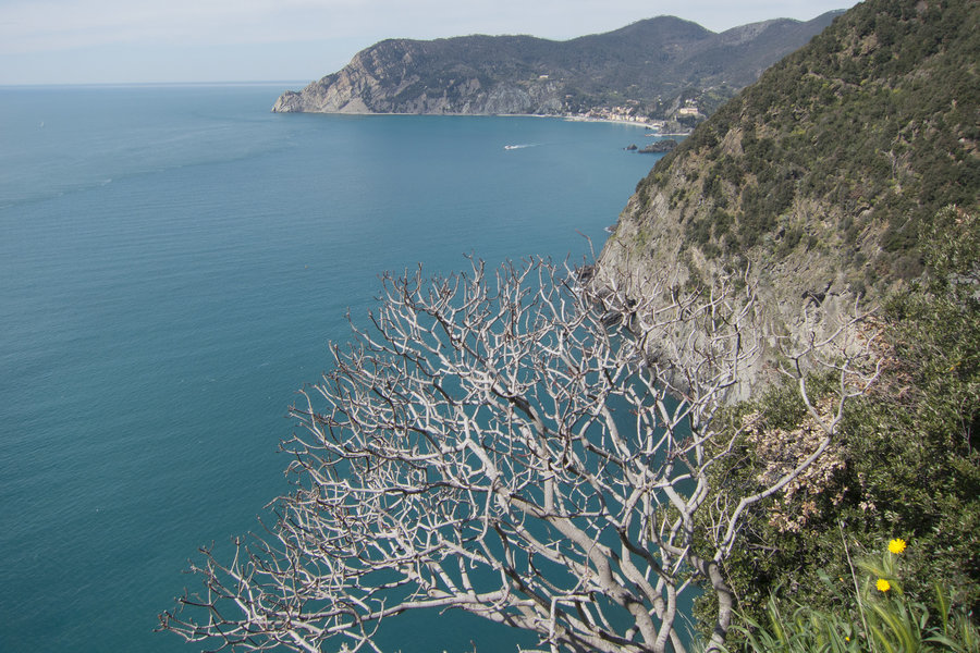 The blue of Mediterranean Sea