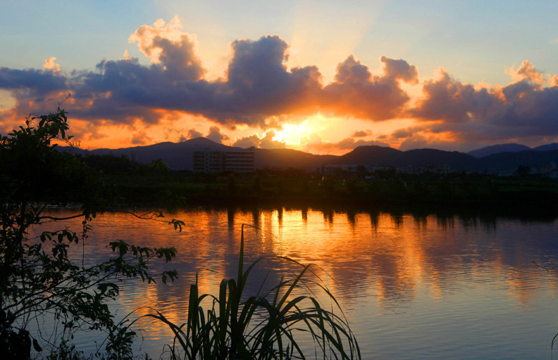 珠海白藤湖湿地公园图片