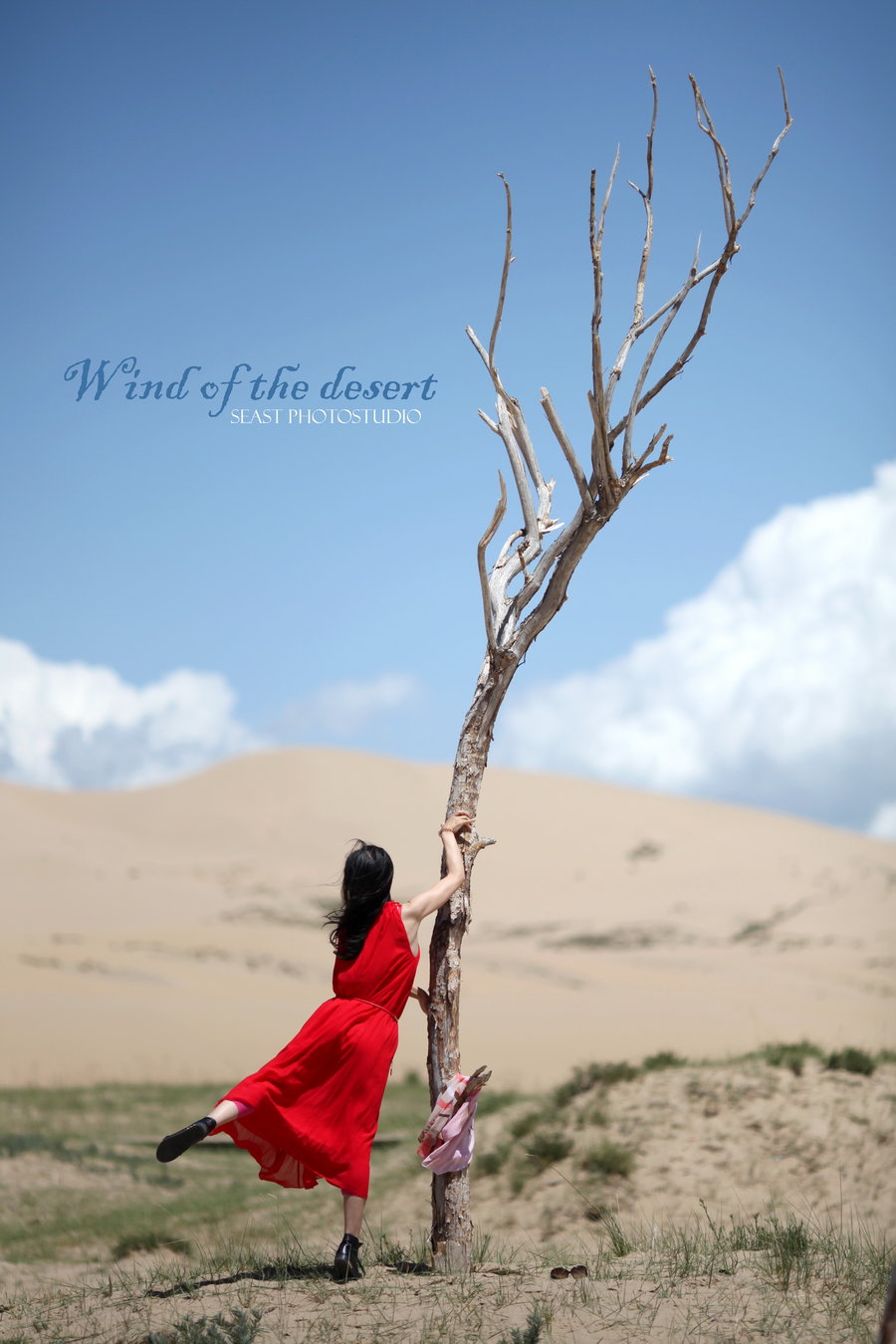 Wind of the desert
