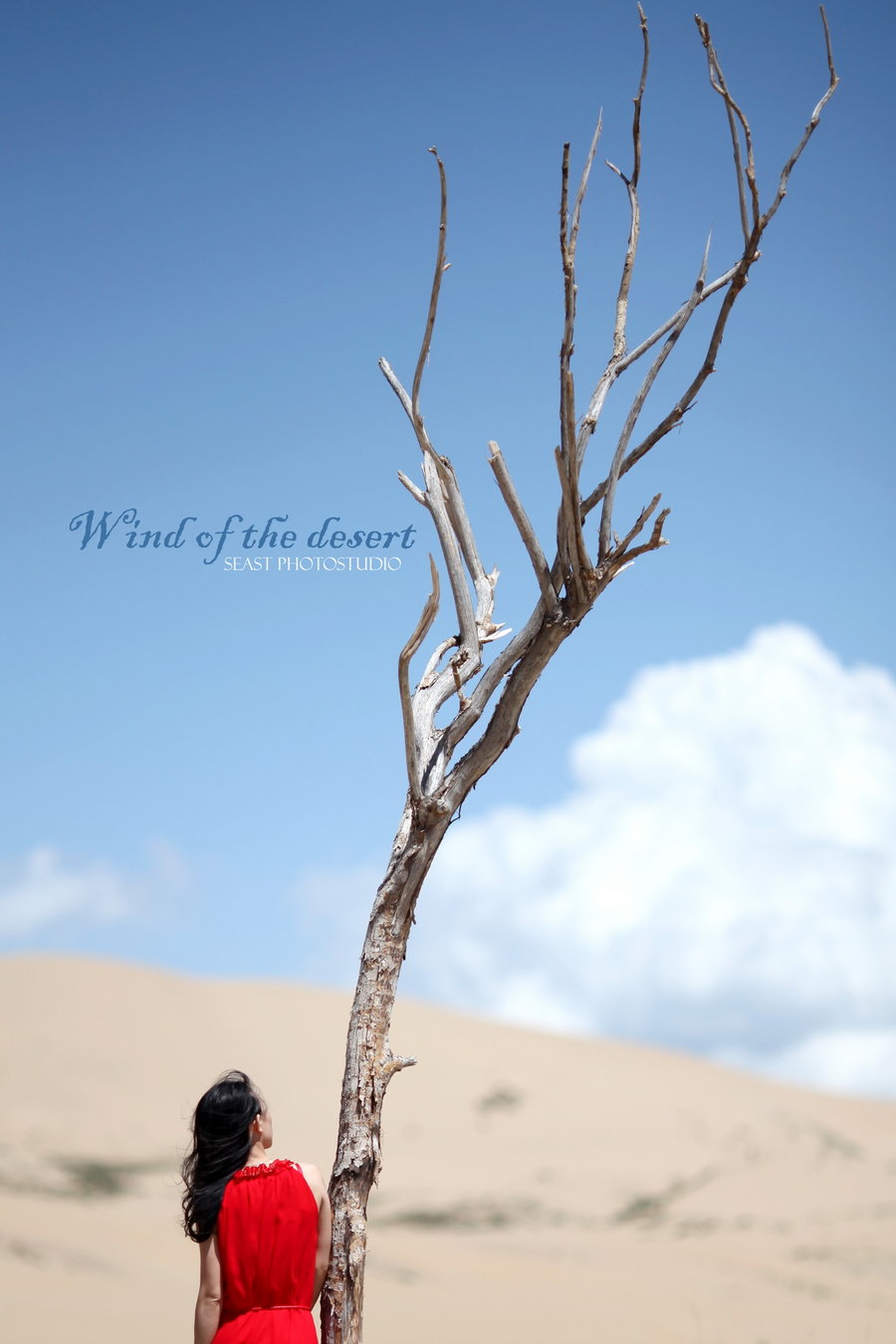 Wind of the desert