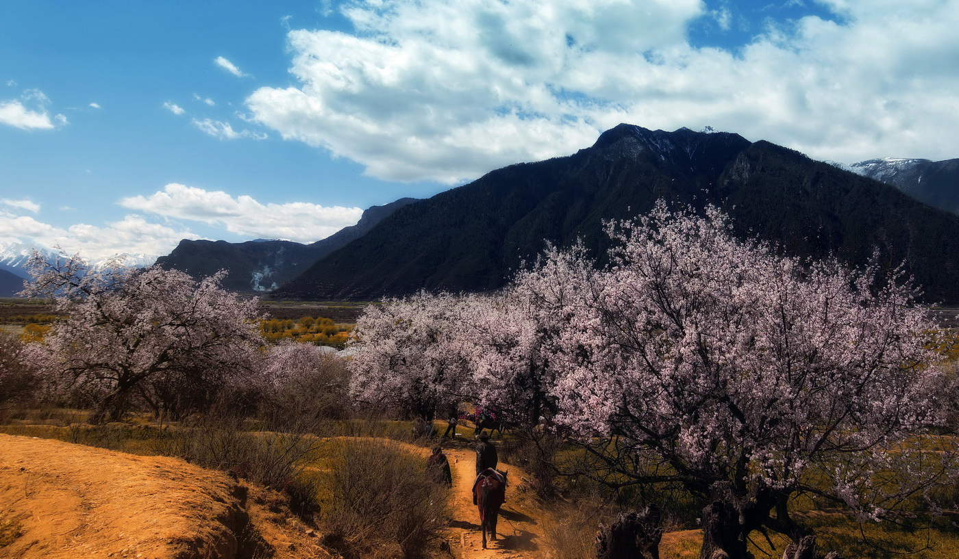 新疆桃花沟图片