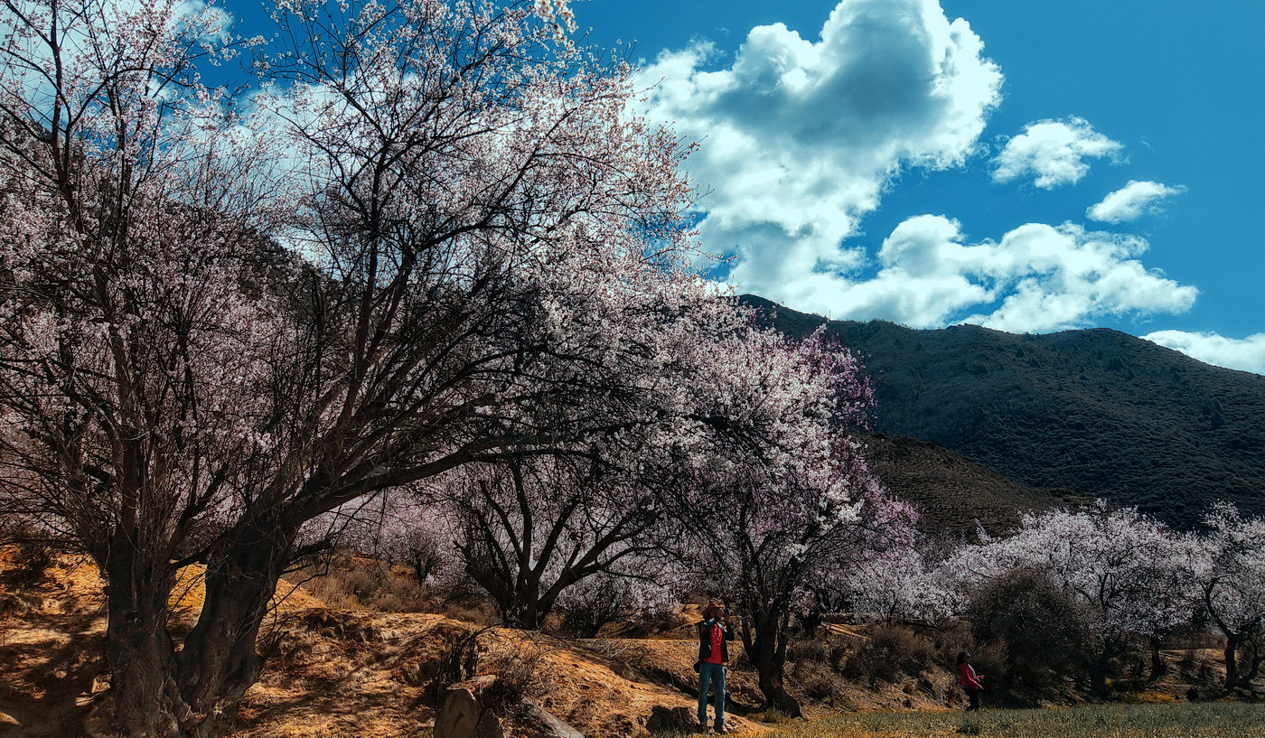 大邑桃花沟图片图片