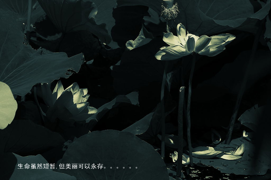 ֮