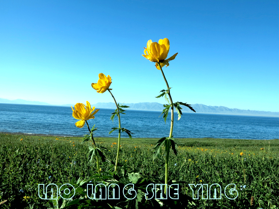½------ľ