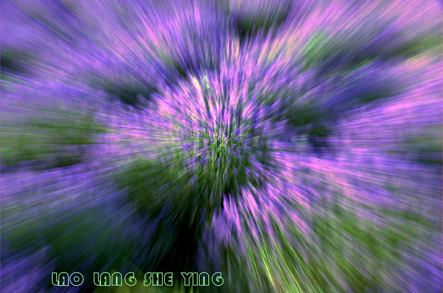 ½-----޹²2