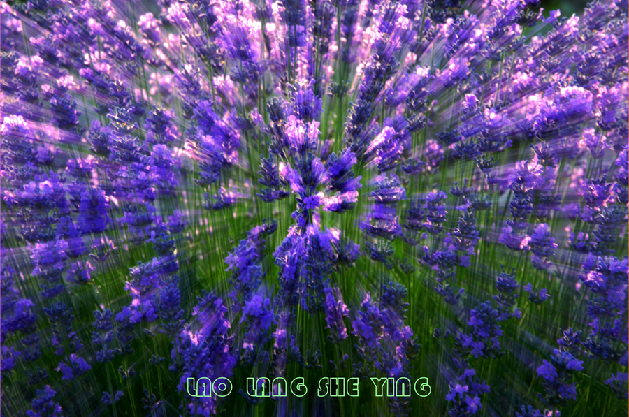 ½-----޹²2