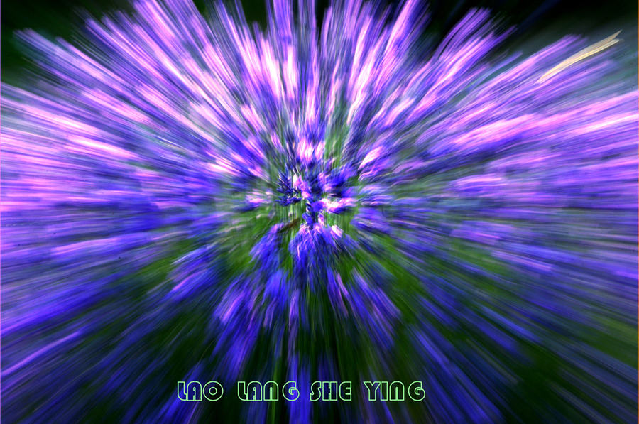 ½-----޹²2