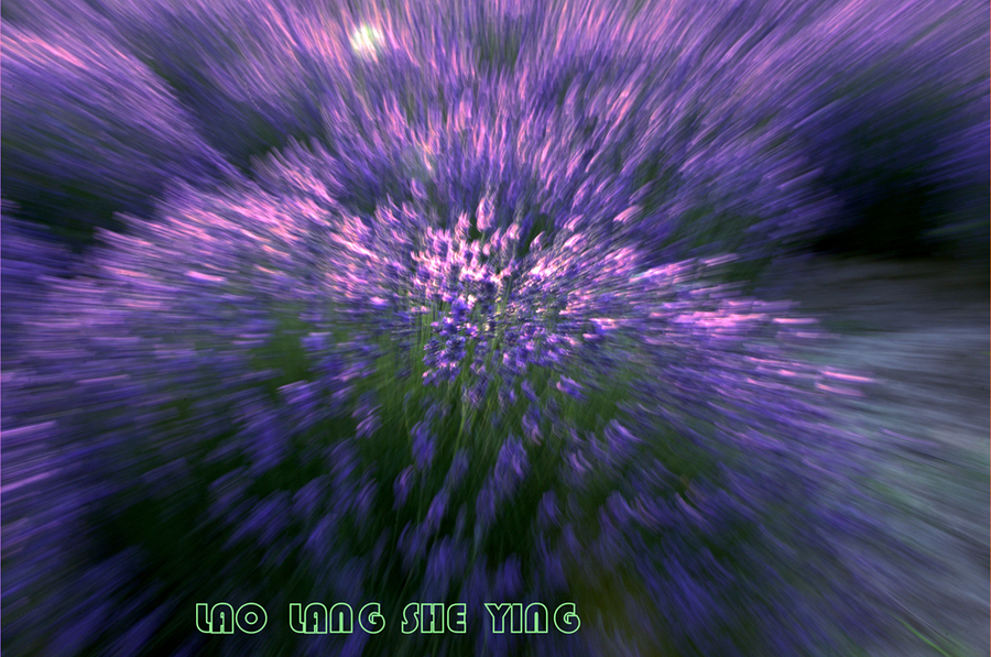 ½-----޹²2