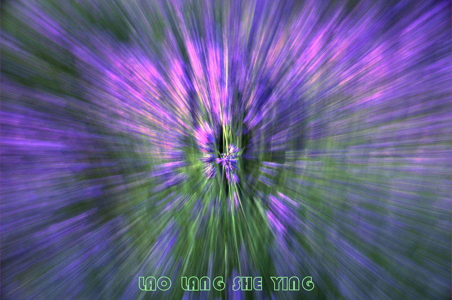½-----޹²2