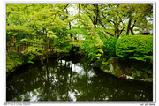 京都.清水园林