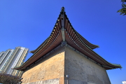 꽨ʸ
