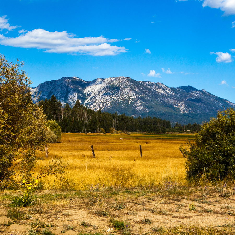 Lake Tahoe6