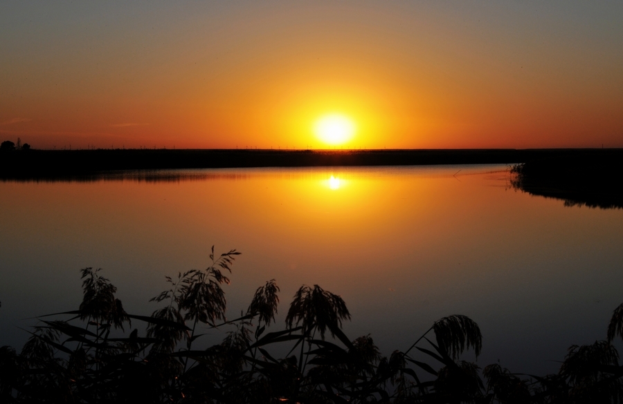 溼地夕陽醉