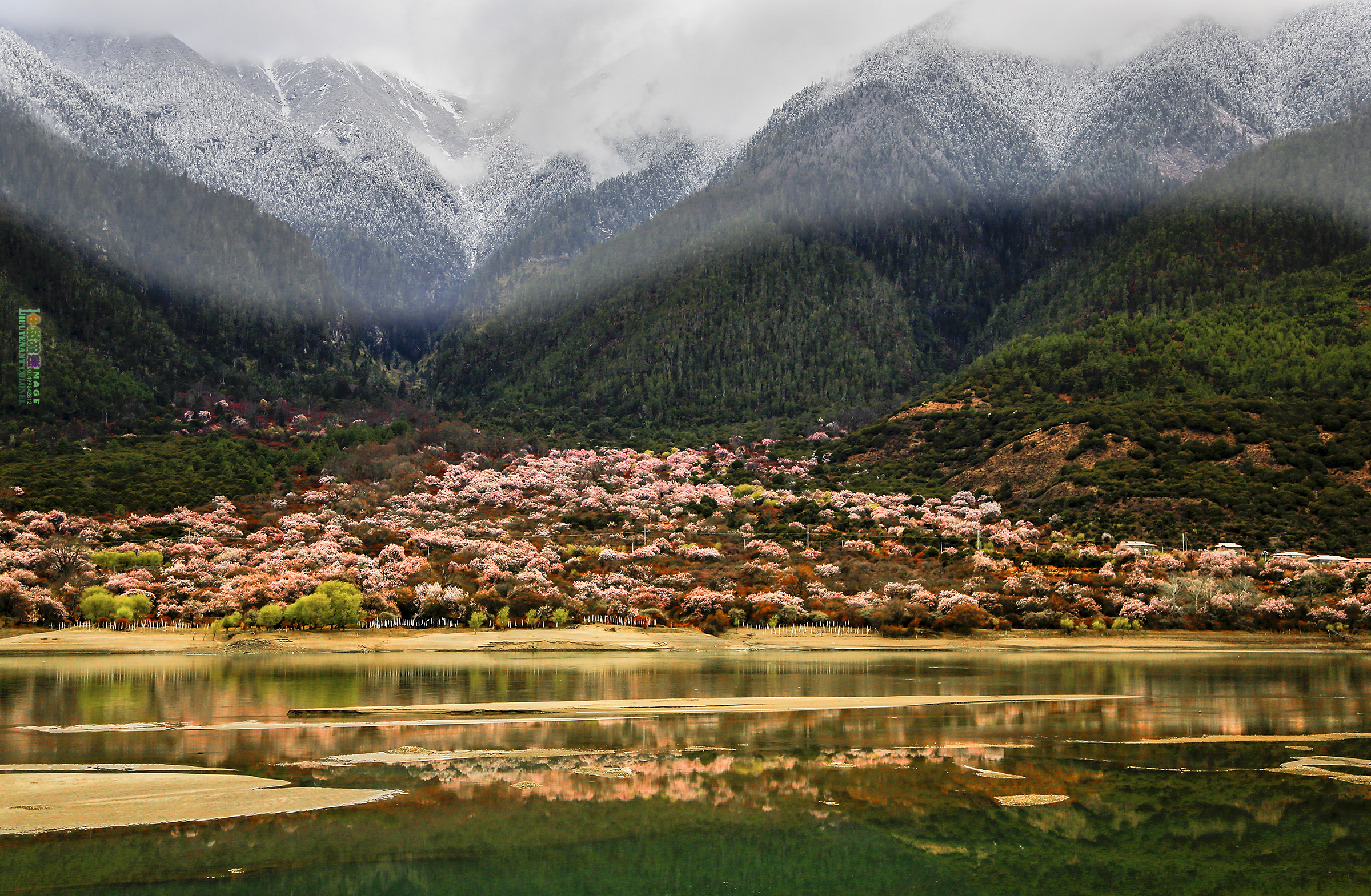 【去林芝寻访中国最美春天摄影图片】西藏林芝地区八一镇风光摄影