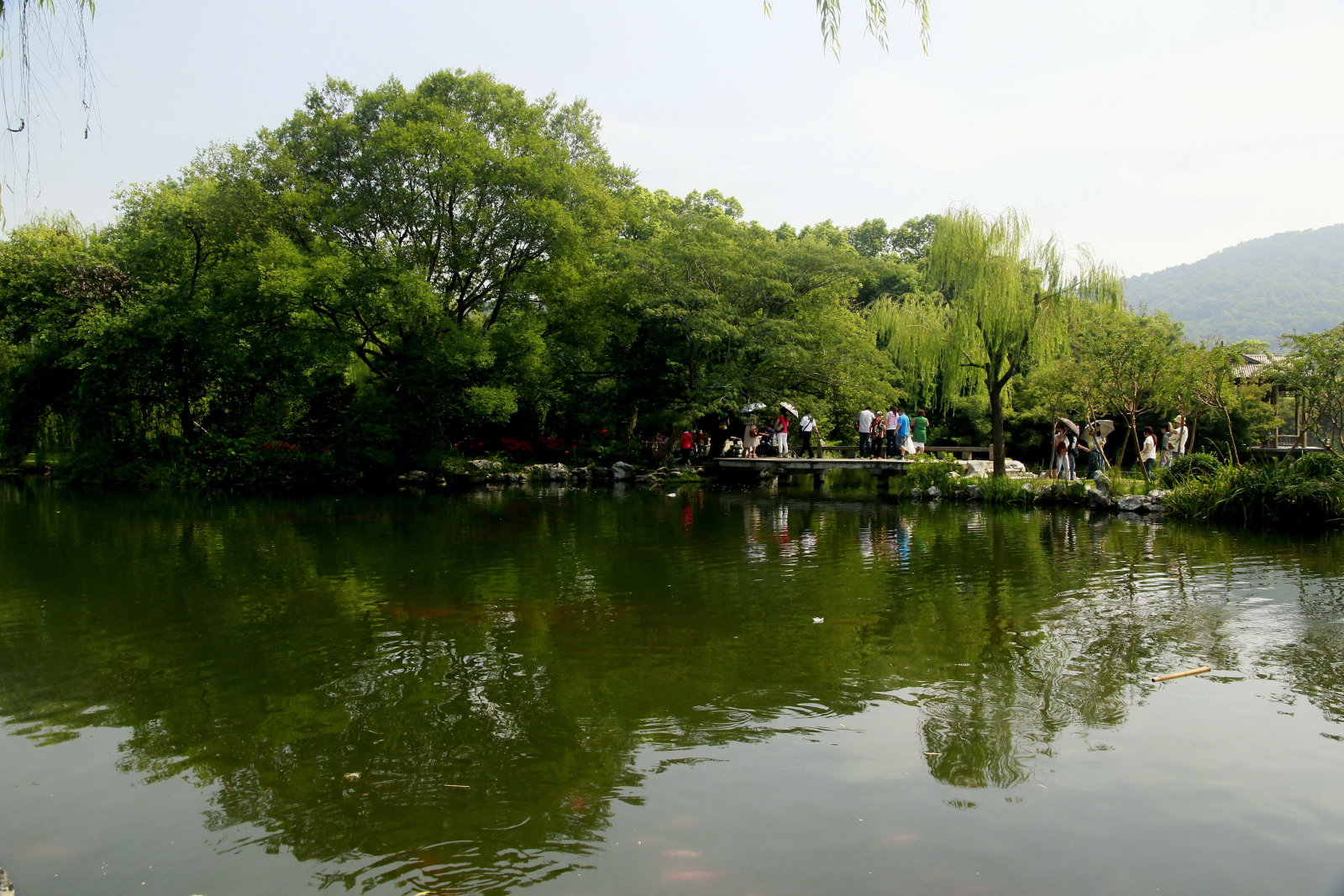 【花港觀魚之綠影攝影圖片】西湖風光攝影_天地在我心_太平洋電腦網