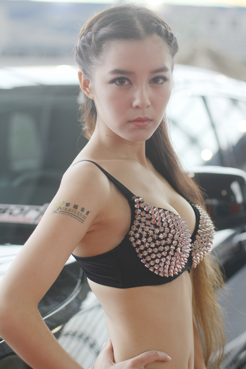 2013μChina Auto Salonװչ-4