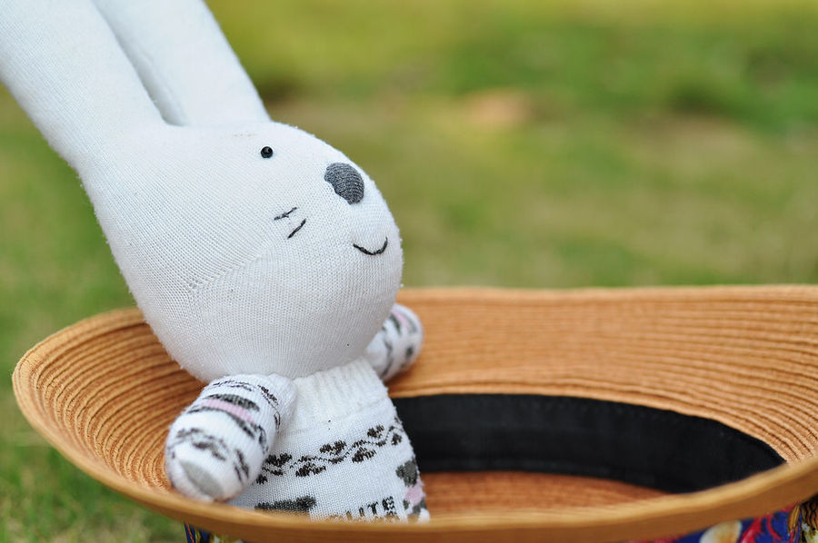 --Sock Bunny