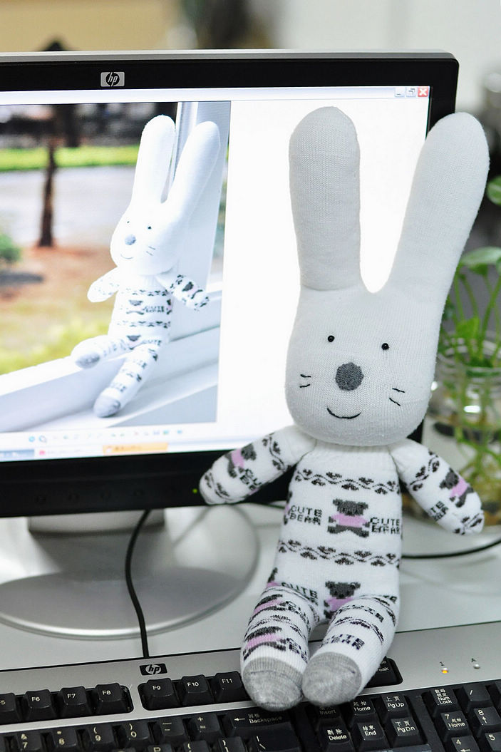 --Sock Bunny