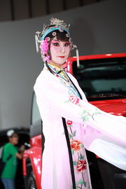 2013(第十二届）南京国际车展