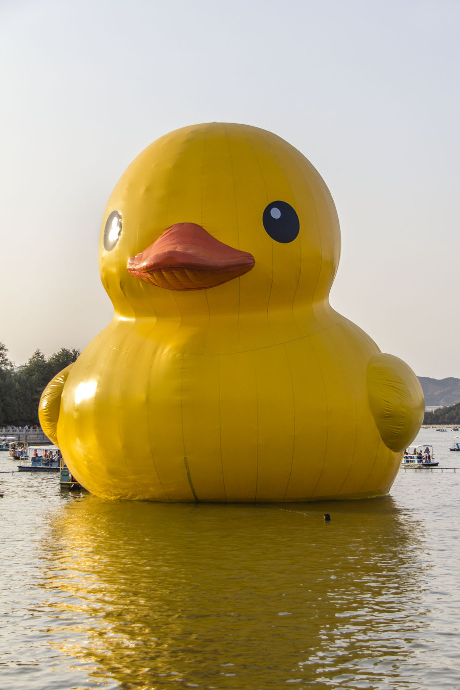 颐和园大黄鸭
