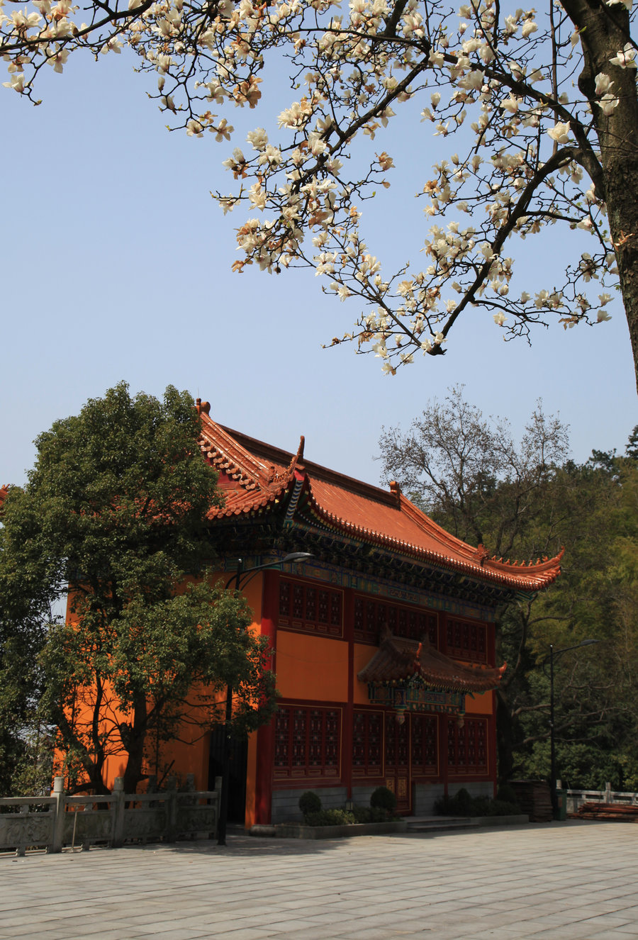 江西佛禅寺图片