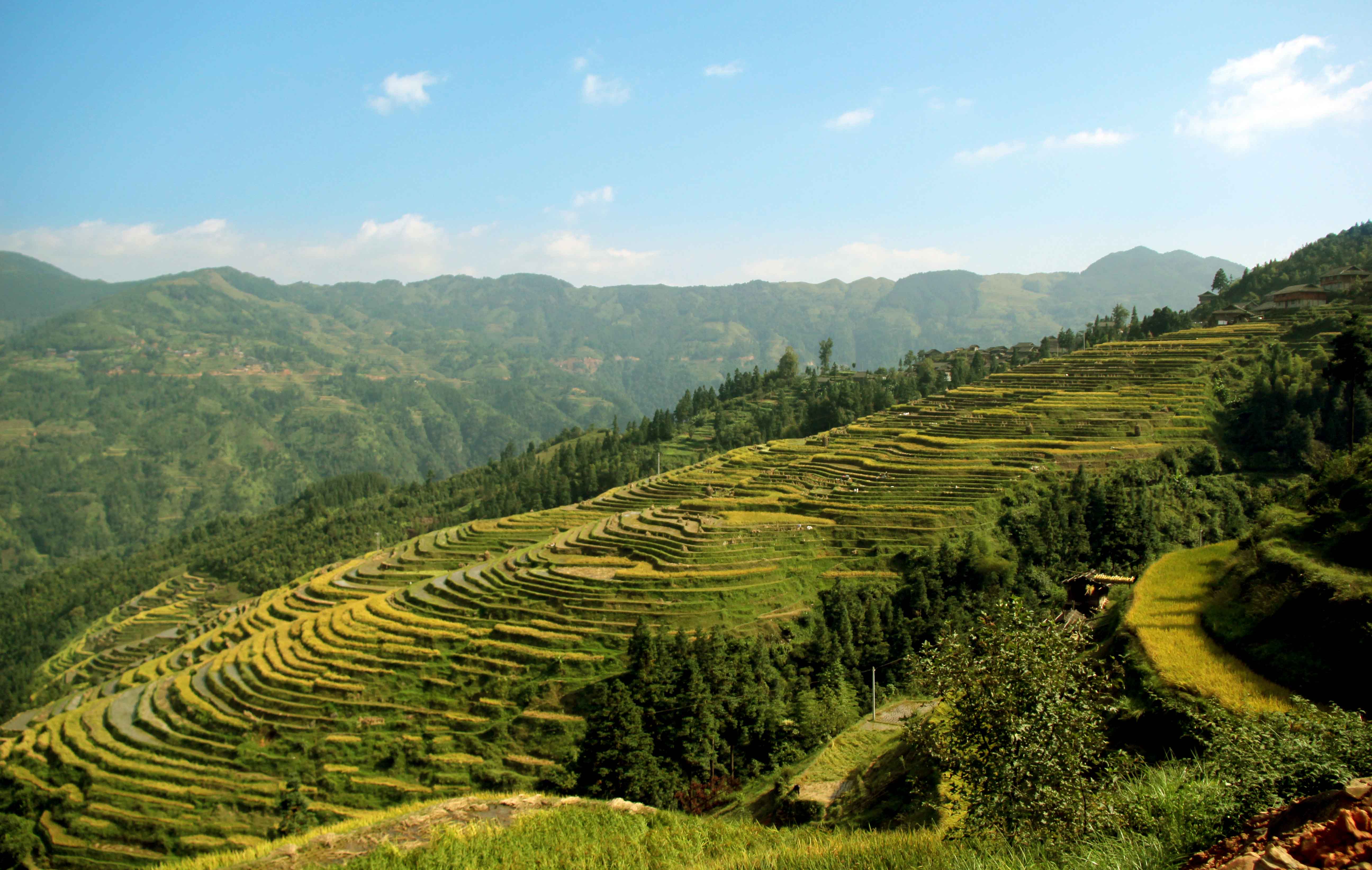 从江梯田风景图片