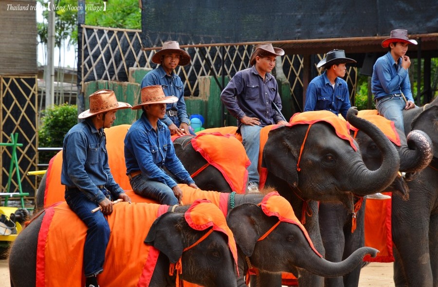 Nong Nooch Village