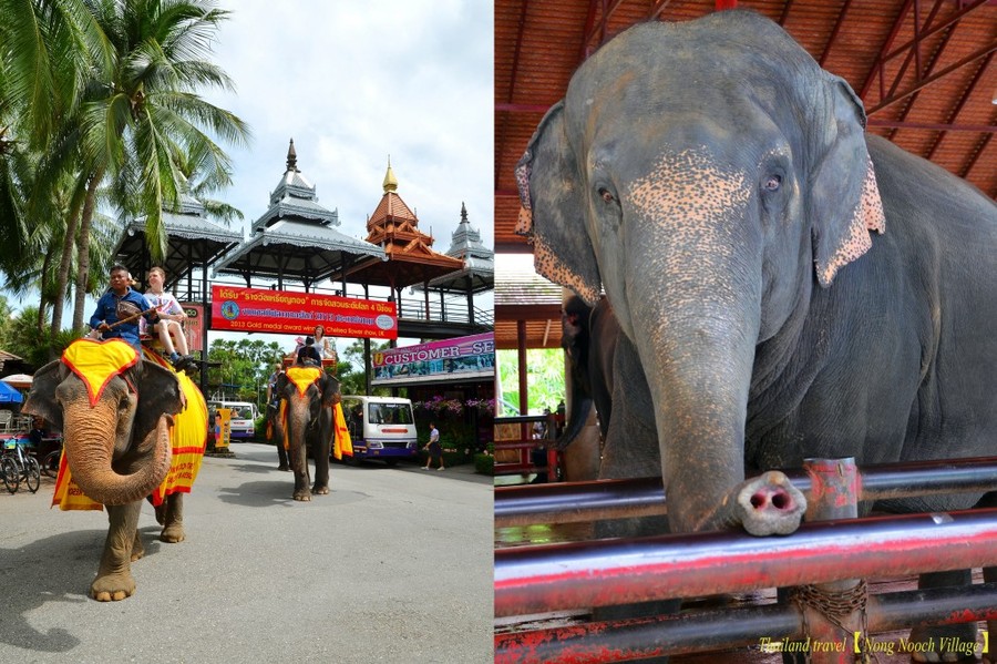 Nong Nooch Village